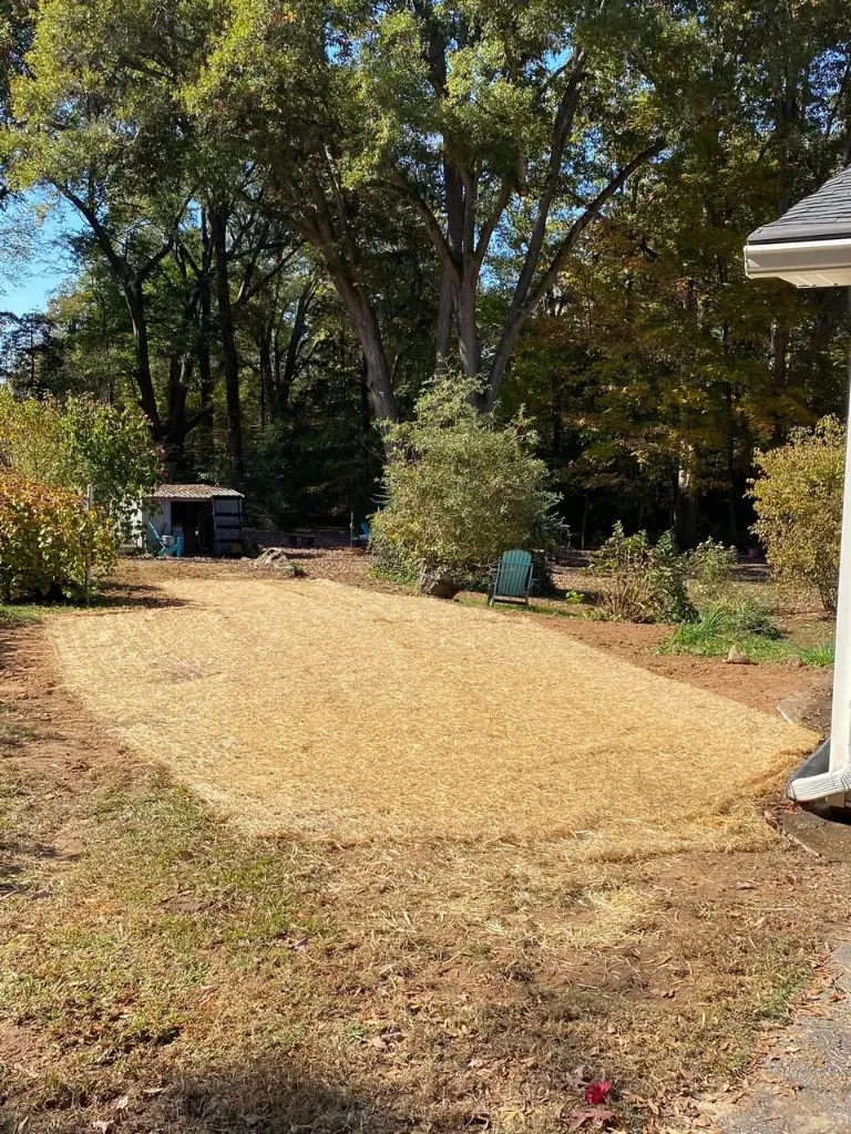 Land Grading & Drainage Correction project image 2